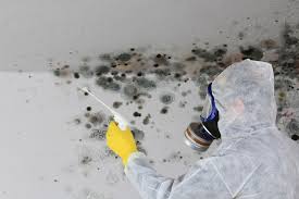 Best Biohazard Mold Removal  in Tuolumne City, CA